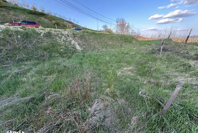 Spațiu comercial, în Cuștelnic - 6