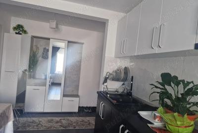 SUPER OFERTA!DECEMBRIE ! Persoana fizica, apartament de vanzare. zona han - 4