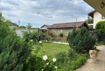 Casă individuală cu 5 camere cu Teren 508 Mp în Brănești - 5