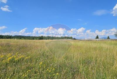 Teren par?ial intravilan 30,930 mp Poiana Stampei-DN E58... - 3