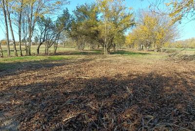 Oaza de liniste: Proprietate generoasa cu poten?ial de Investi?ie Locuin?a - 1