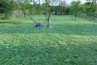 Teren Construcții intravilan de 2000 mp, în Comana - 2