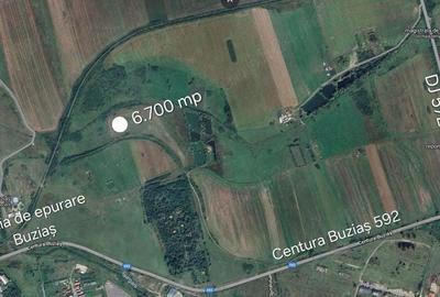 Teren de 6700 mp, în Buziaș - 1