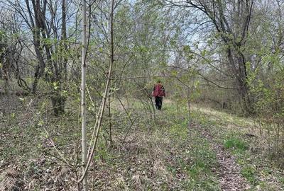 Breaza - str. Plaiului, teren 1400 mp - 14