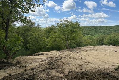 Spațiu comercial, în Moriști - 4