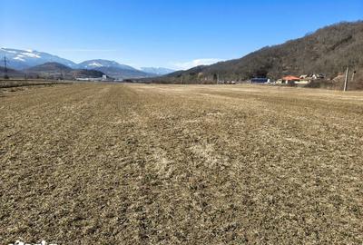 Teren de 2800 mp, în Turnu Roșu - 15