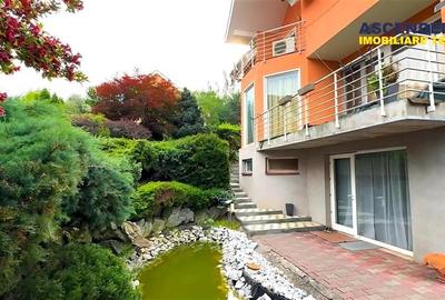 Film&3D!Confort,stil si functionalitate:Vila rezidential/ business,Livezeni,Mure - 6