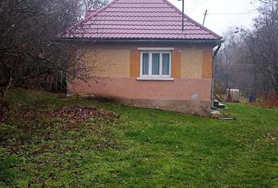 Vand casa+anexe gospodaresti+gradina+livada; Sat Luminisu, jud. Salaj - 3