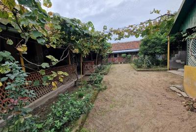 Sosdea 2 Case cu Teren 4657 Mp. - 3