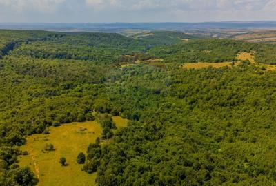 COMISION 0% Teren Grid/Inima Naturii/ Oportunitate de investitie - 14