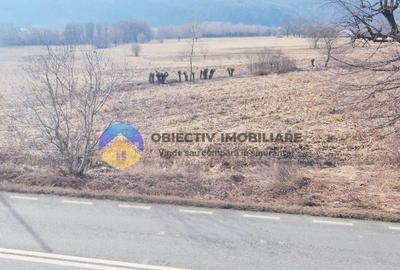 Teren Construcții intravilan de 3035 mp, în Bodești - 3