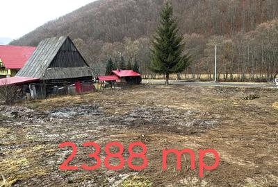 Spațiu comercial, în Scrind-Frăsinet - 4