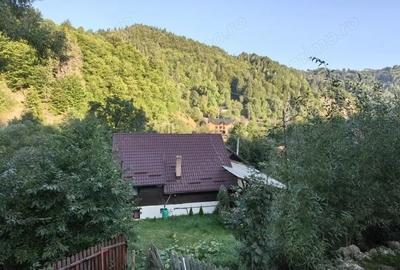 Casă cu 11 camere cu Teren 1560 Mp în Moieciu - 3