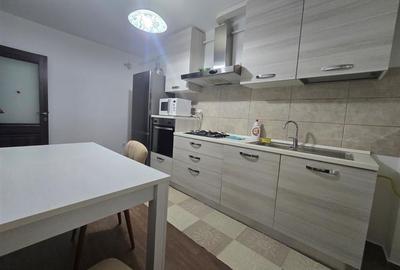 Inchiriere Apartament cu 2 camere Decomandat Nicolina Strada Pepinierii - 9