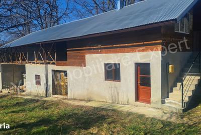 Casă cu 3 camere în Cerbu - 6