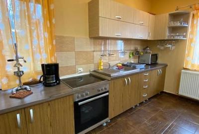 Oferta casa de vacanta P+1+M cu 1700mp teren, in Gura Raului - 18