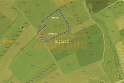 Teren de vanzare langa lacul Chinteni Intravilan 9.959/? - 2