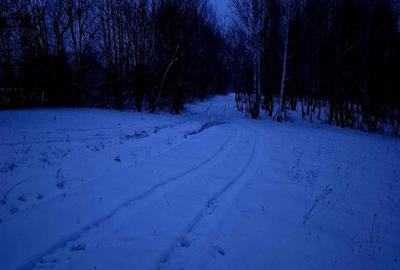 Teren de 5000 mp, în Șinca - 4