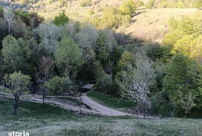 Teren de 635 mp, în Cornereva - 6