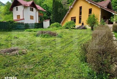 Casă cu 3 camere cu Teren 2500 Mp în Ighiu - 15