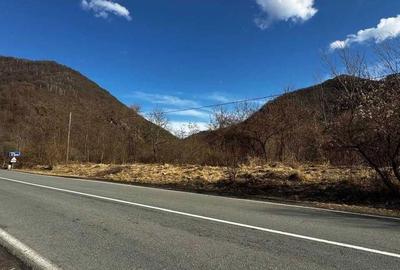 Teren de 1700 mp, în Brăzești - 2