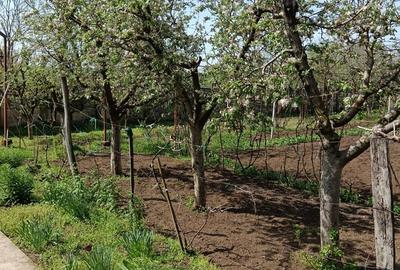 Casă cu 2 camere cu Teren 1440 Mp în Exterior Vest - 11