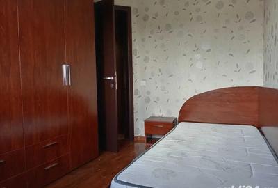 Vila Tunari,mobilata si utilata ,3 camere ,terasa si curte, 850 euro - 8