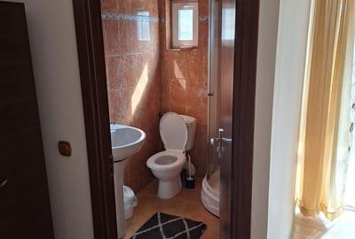 Casă cu 4 camere în Malu cu Flori - 4