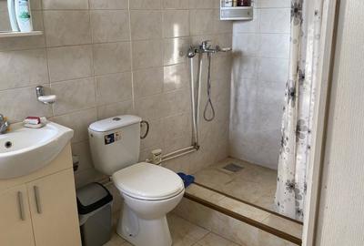 Casă cu 2 camere în Sâmbăteni - 8