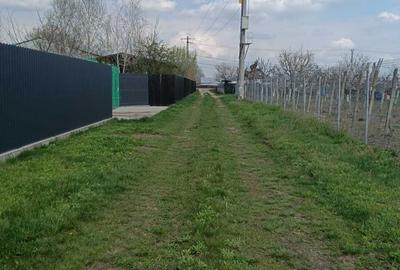 Teren de 6000 mp, în Bogdan Vodă - 7