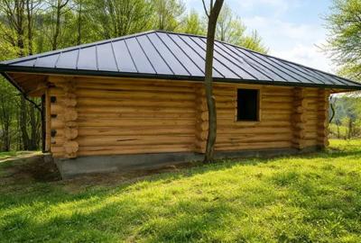 Casă cu 2 camere cu Teren 2957 Mp în Zărnești - 11