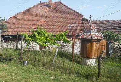 Casa batraneasca+teren de vanzare in sat Radosi,comuna Crasna,judetul Gorj - 2