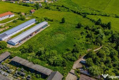 Teren de 9335 mp, în Teliu - 7