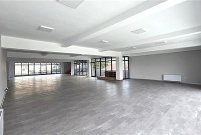 Birou, de 250 mp, în Aurel Vlaicu - 2