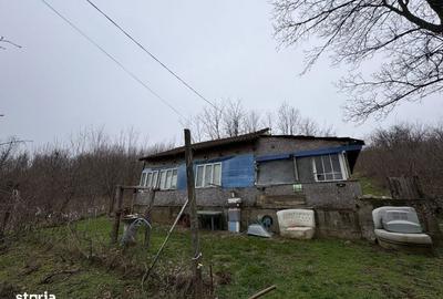Spațiu comercial, în Luncșoru - 4