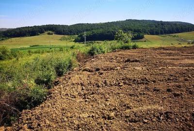 Teren de 2200 mp, în Deușu - 5