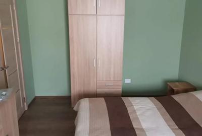 Garsoniera semidecomandata Rovine_Wiesana - 5