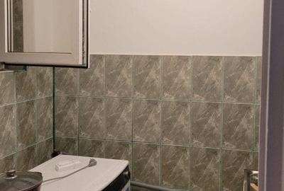 Garsonieră decomandată, mobilată în Rahova - 3