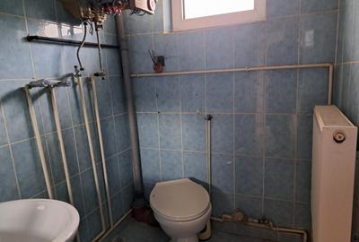 Casa mare cu 2 spatii comerciale, in Faget - 8