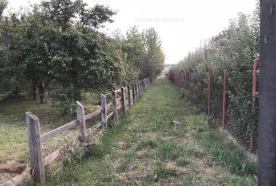 Teren la Strada EUROPEANA , CU TOATE UTILITATILE parcele de case - 6