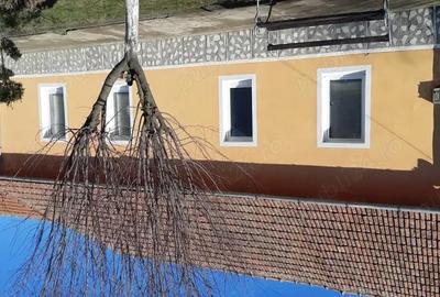 Casă cu 4 camere cu Teren 1439 Mp în Cermei - 6