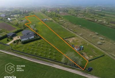 Teren de 2600 mp, în Șofronea - 7