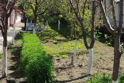 Casă cu 3 camere cu Teren 1000 Mp în Costache Negri - 7