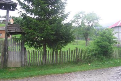 Teren de 4080 mp, în Valea Doftanei - 6