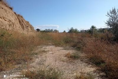 OCAZIE! CAP MIDIA -teren intravilan cu PUZ -5.000 mp, situat lângă mare! - 4