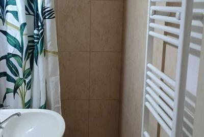 Garsonieră decomandată în Vasile Aaron - 8