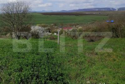 Teren de 1500 mp, în Central