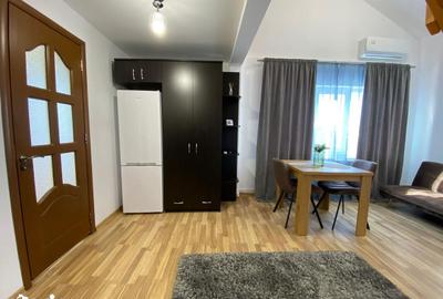 Apartament cu 2 camere în Obcini - 6