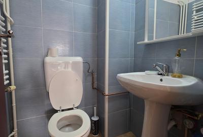 Apartament cu 3 camere decomandat, mobilat în Moșilor - 7