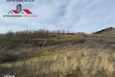 Teren de 8010 mp, în Vințu de Jos - 7